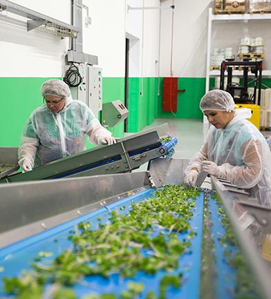 Kugeln in der Lebensmittelindustrie